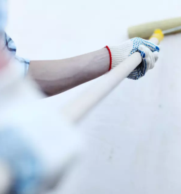 Dober pleskar postojna notranjska