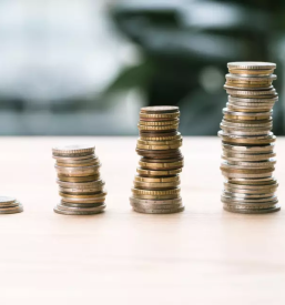 Dober racunovodja podravska