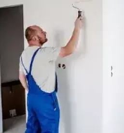 Dober slikopleskar dolenjska