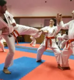 Dober tecaj karateja stajerska