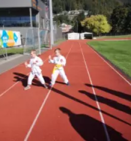 Dober tecaj karateja stajerska