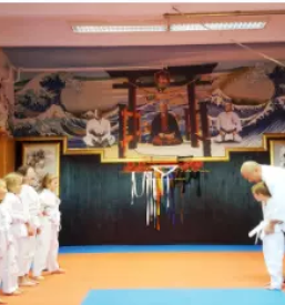 Dober tecaj karateja stajerska