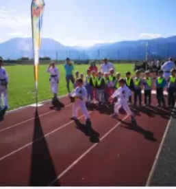 Dober tecaj karateja stajerska