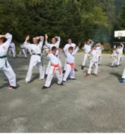 Dober tecaj karateja stajerska