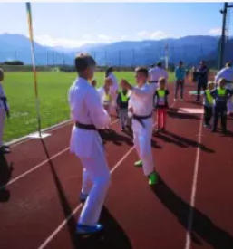 Dober tecaj karateja stajerska