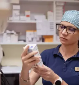 Dober veterinar obala