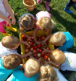 Dober vrtec dolenjska - naj ga obišče tudi vaš otrok