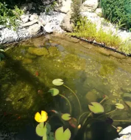 Dobra picerija Goriška
