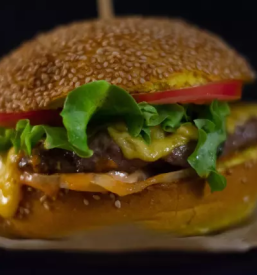 Dobra hitra hrana osrednja slovenija