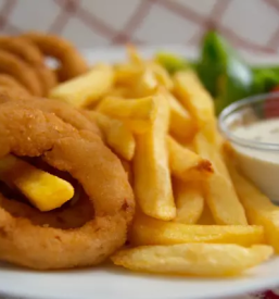 Dobra hitra hrana osrednja slovenija