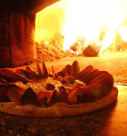 Dobra picerija domzale okolica