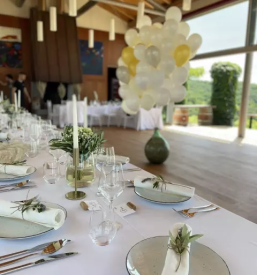 Dobra restavracija osrednja slovenija