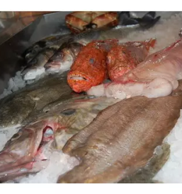 Dobra ribja gostilna portoroz