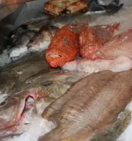 Dobra ribja restavracija portoroz