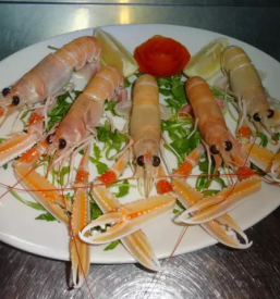 Dobre ribje specialitete v portorozu