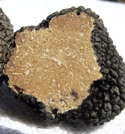 Dobri tartufi slovenija