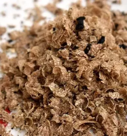 Dobri tartufi slovenija