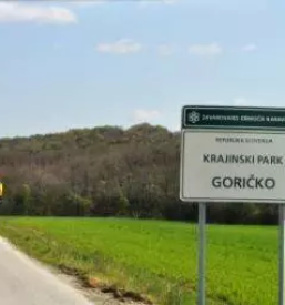 Dobro bucno olje bogojina plecnikova cerkev