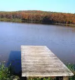 Dobro bucno olje bogojina plecnikova cerkev