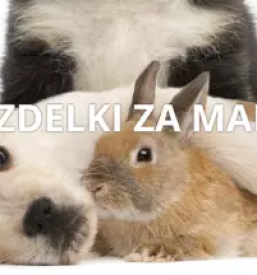 Dodatki k prehrani za pse in macke slovenija