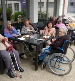 Dom starejših rakičan murska sobota