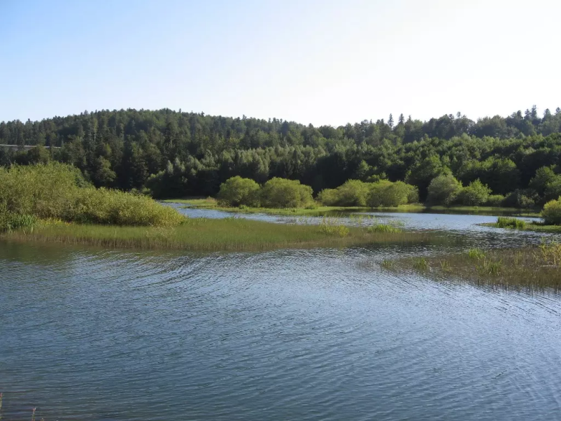 Obiščite našo domačo gostilno v Krmelju!
