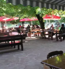 Dobra kosila v Bežigradu