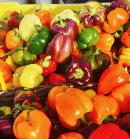 Domaca lokalna trgovina bogojina