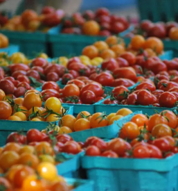 Domaca lokalna trgovina bogojina