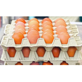 KMETIJSKO TURISTIČNA ZADRUGA ŽITEK, Z.B.O.