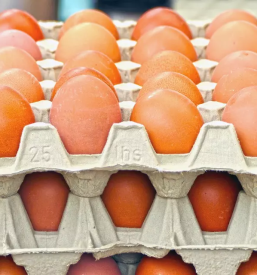 Domaca lokalna trgovina bogojina