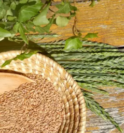 Domača moka Savinjska