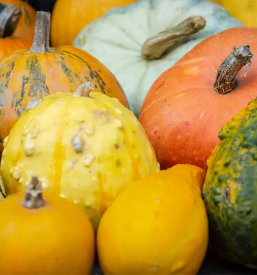 Domace bucno olje prekmurje