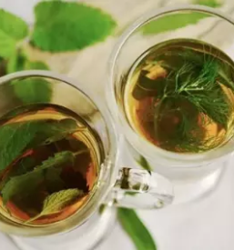 Domaci caji notranjska primorska