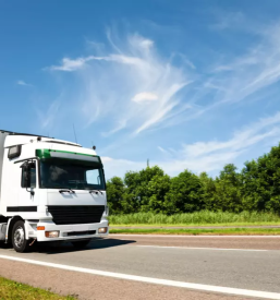 Domaci in mednarodni kamionski in kombi prevozi blaga logatec