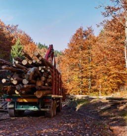 Domaci prevozi z gozdarskim kamionom slovenija