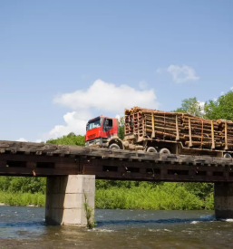 Domaci prevozi z gozdarskim kamionom slovenija