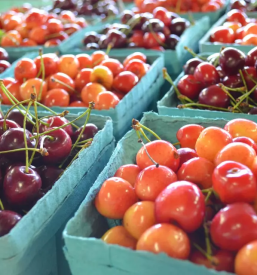 Domaci pridelki in izdelki pomurje