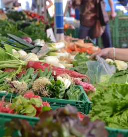 Domaci pridelki in izdelki pomurje