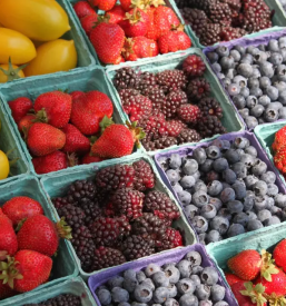 Domaci pridelki in izdelki pomurje