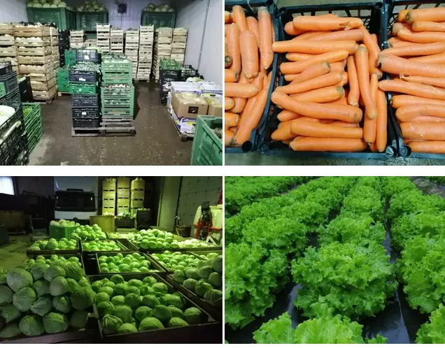 Prodaja in dostava domače zelenjave Maribor, Štajerska