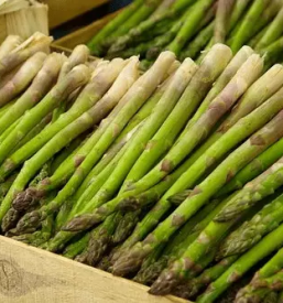 Dostava domacih spargljev pomurje