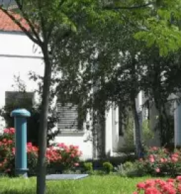 Dostava kosil za starejse ajdovscina