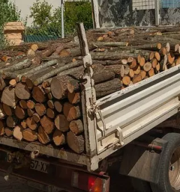 Transport in dostava lesnih sekancev Slovenija