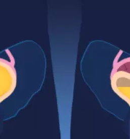 Druzinski zdravnik ljubljana