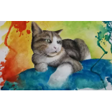 MAJINE SANJARIJE, JANEZ PIKL S.P.