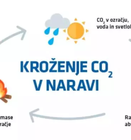 Ece biomasa slovenija