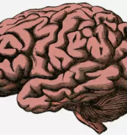 Emg laboratorij celje okolica savinjska