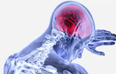 EMG laboratorij Celje okolica, Savinjska