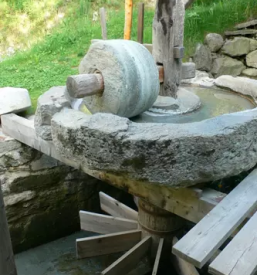 Ekoloska in navadna krmila evita